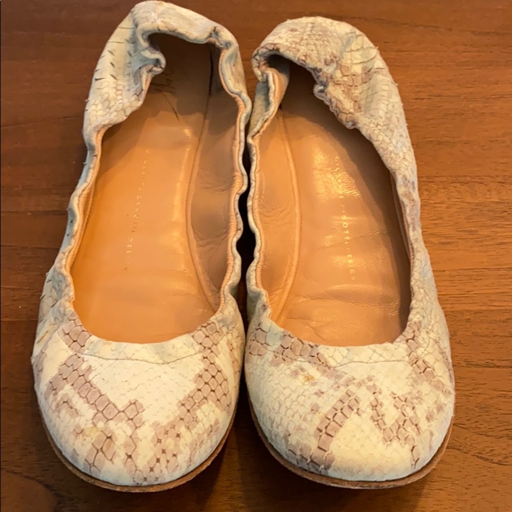 Giuseppe Zanotti Leather Animal Print Ballet flats 🥿 - Picture 6 of 6